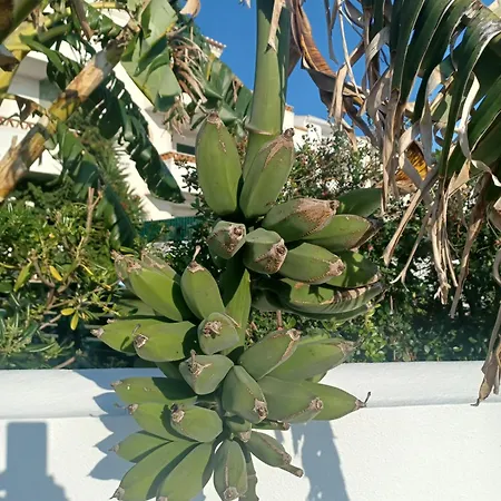 Su Villa's Ericeira