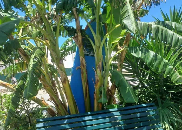 公寓 Su Villa's 埃里塞拉